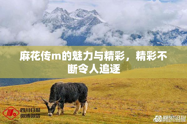 麻花传m的魅力与精彩，精彩不断令人追逐