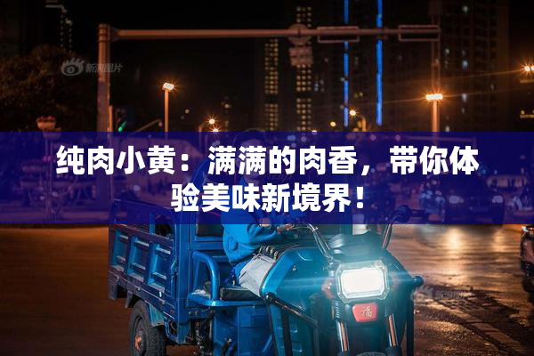 纯肉小黄：满满的肉香，带你体验美味新境界！