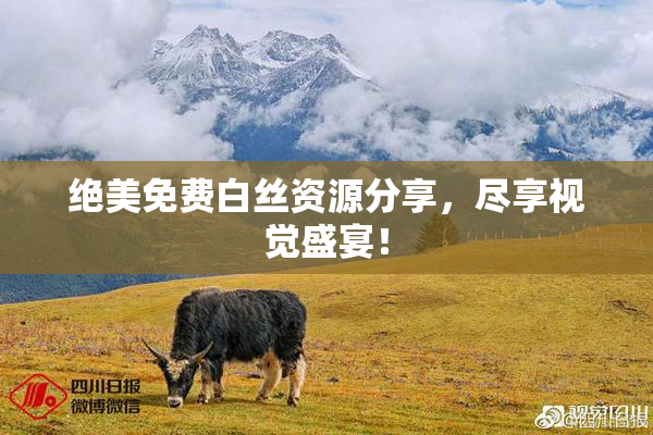 绝美免费白丝资源分享，尽享视觉盛宴！