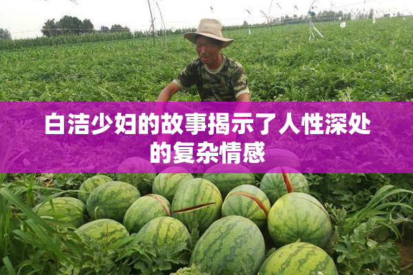 白洁少妇的故事揭示了人性深处的复杂情感
