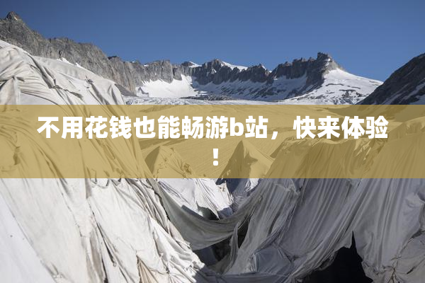 不用花钱也能畅游b站，快来体验！