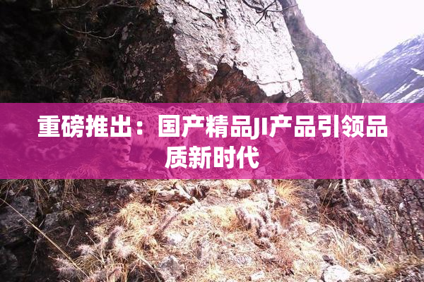 重磅推出：国产精品JI产品引领品质新时代