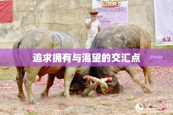 追求拥有与渴望的交汇点