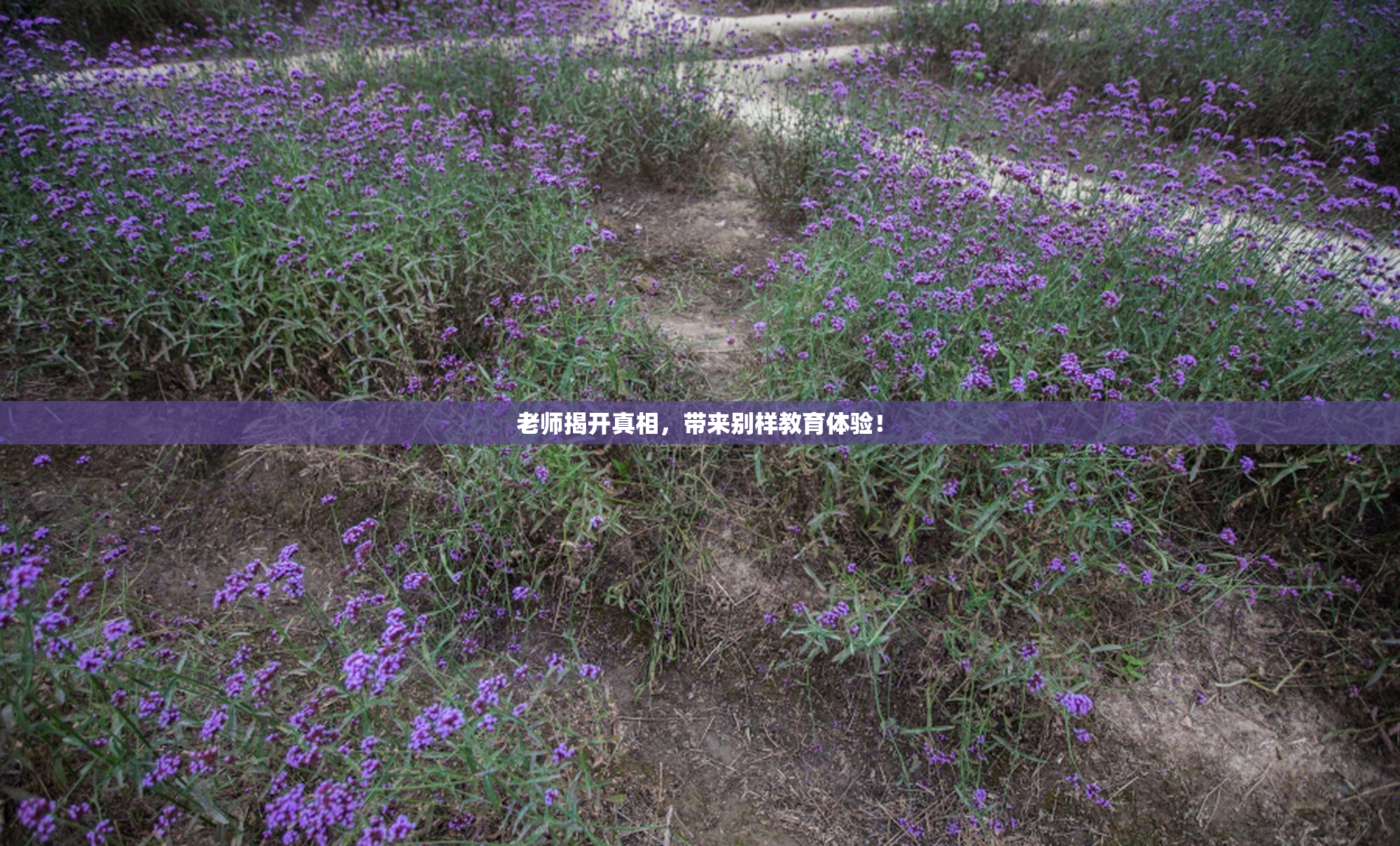 老师揭开真相，带来别样教育体验！