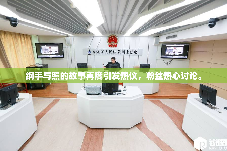 纲手与照的故事再度引发热议，粉丝热心讨论。