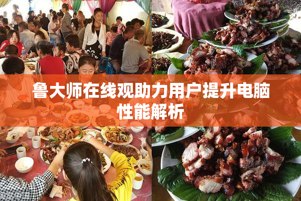 鲁大师在线观助力用户提升电脑性能解析