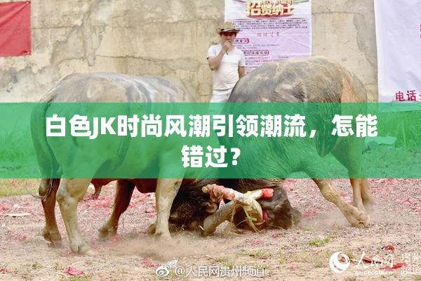 白色JK时尚风潮引领潮流，怎能错过？