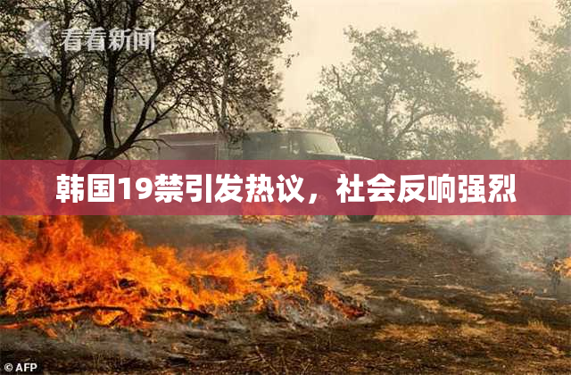 韩国19禁引发热议，社会反响强烈