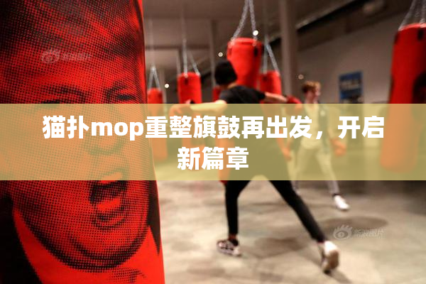 猫扑mop重整旗鼓再出发，开启新篇章