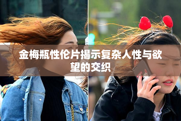 金梅瓶性伦片揭示复杂人性与欲望的交织