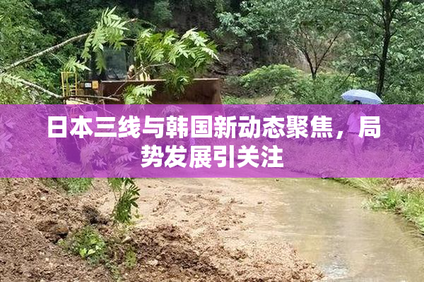 日本三线与韩国新动态聚焦，局势发展引关注