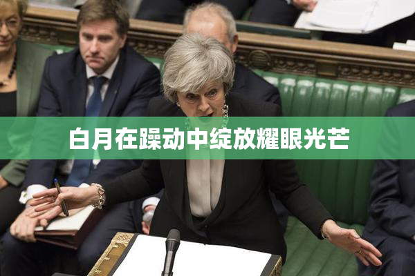 白月在躁动中绽放耀眼光芒