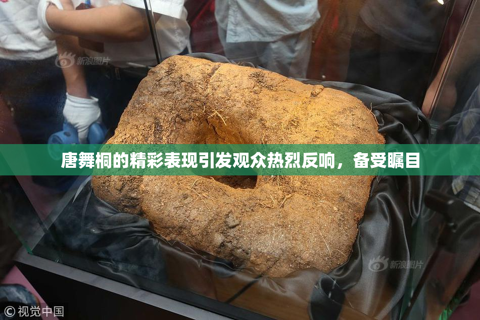 唐舞桐的精彩表现引发观众热烈反响，备受瞩目