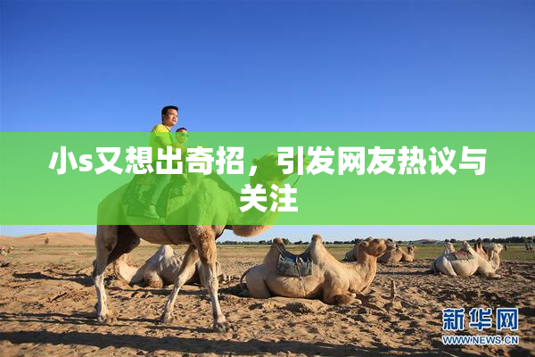 小s又想出奇招，引发网友热议与关注