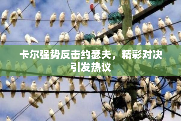 卡尔强势反击约瑟夫，精彩对决引发热议
