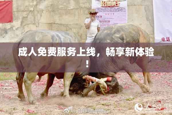 成人免费服务上线，畅享新体验！