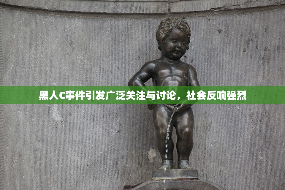 黑人C事件引发广泛关注与讨论，社会反响强烈