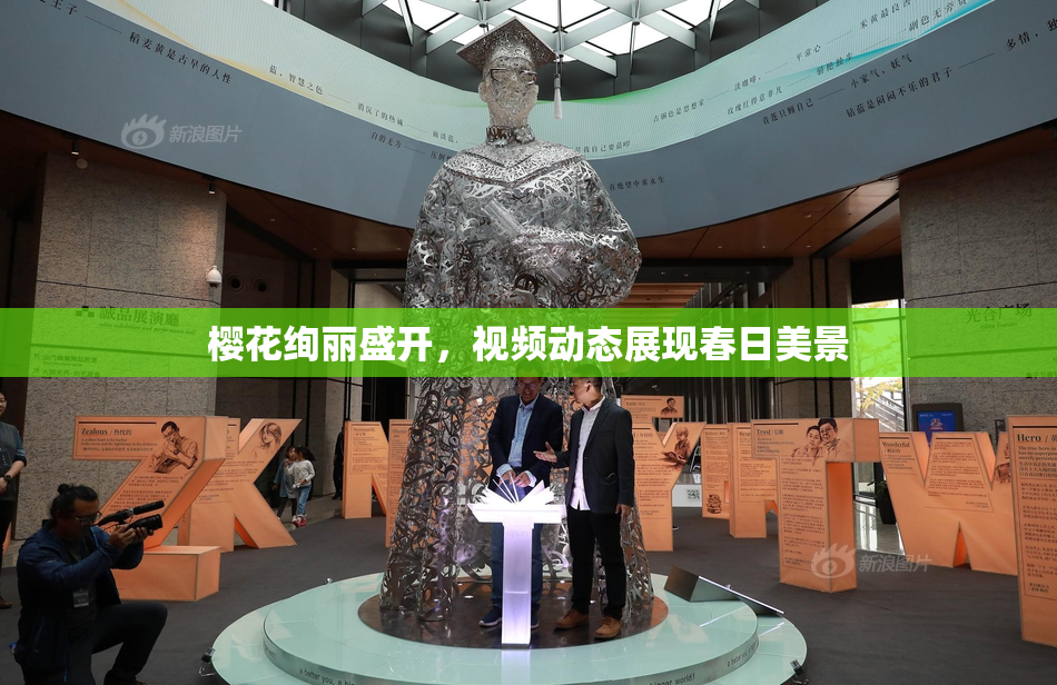 樱花绚丽盛开，视频动态展现春日美景