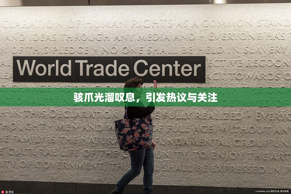 骇爪光溜叹息，引发热议与关注
