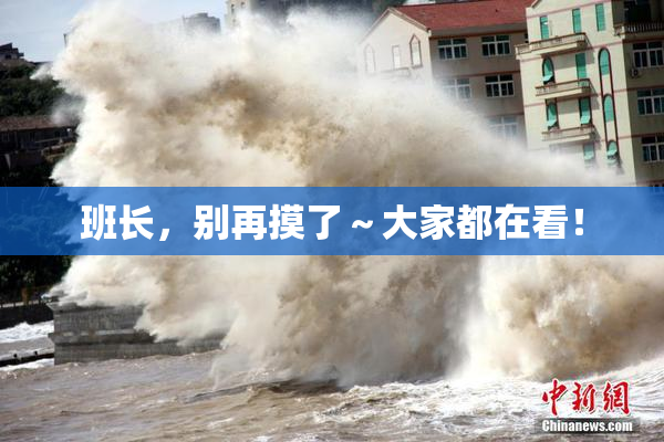 班长，别再摸了～大家都在看！