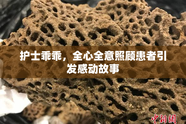护士乖乖，全心全意照顾患者引发感动故事
