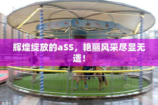 辉煌绽放的aSS，艳丽风采尽显无遗！