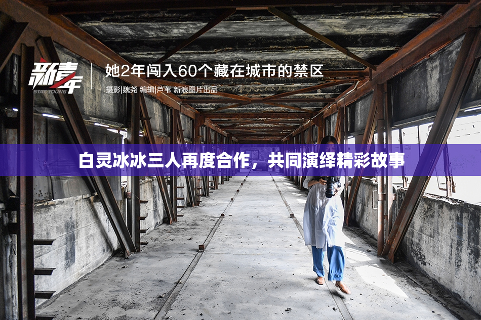 白灵冰冰三人再度合作，共同演绎精彩故事