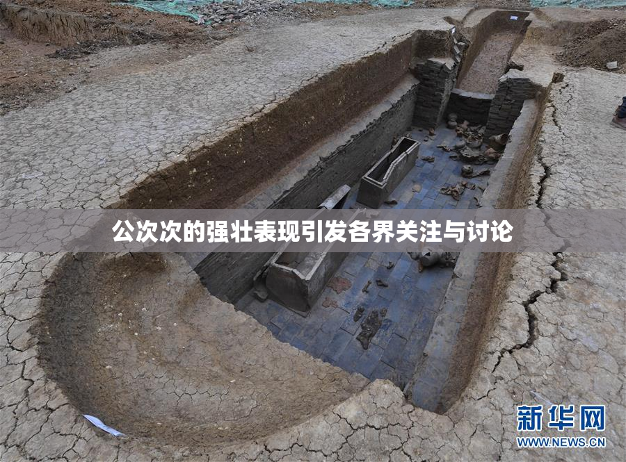 公次次的强壮表现引发各界关注与讨论