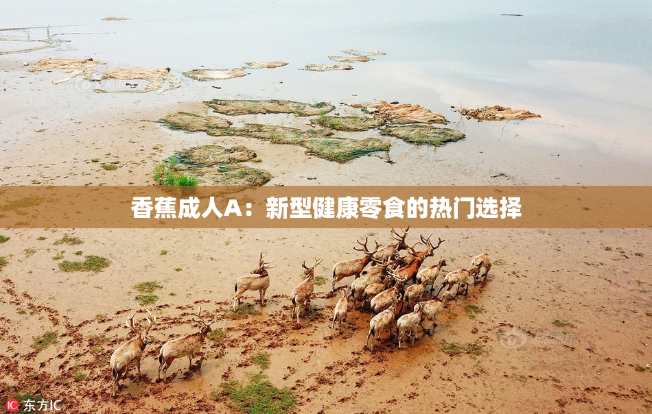 香蕉成人A：新型健康零食的热门选择