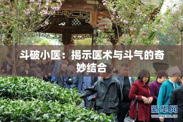 斗破小医：揭示医术与斗气的奇妙结合