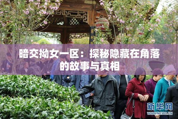 暗交拗女一区：探秘隐藏在角落的故事与真相