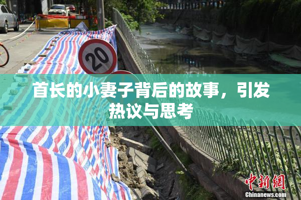 首长的小妻子背后的故事，引发热议与思考