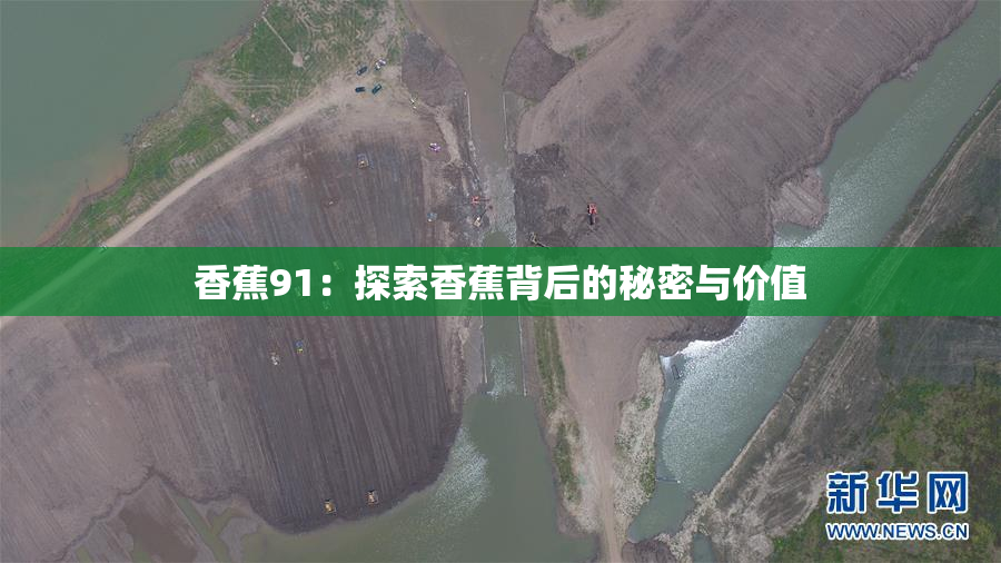 香蕉91：探索香蕉背后的秘密与价值