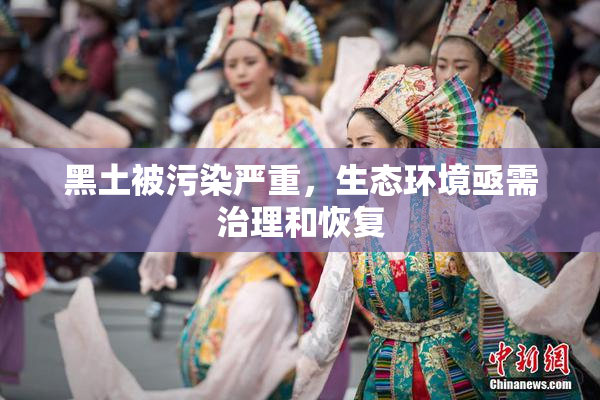 黑土被污染严重，生态环境亟需治理和恢复