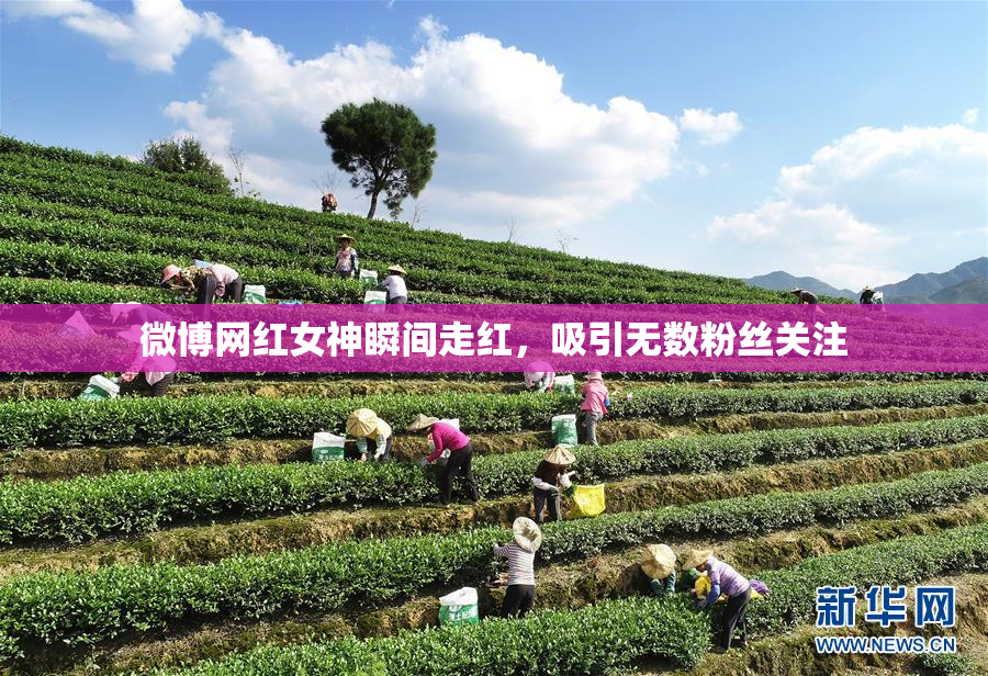 微博网红女神瞬间走红，吸引无数粉丝关注