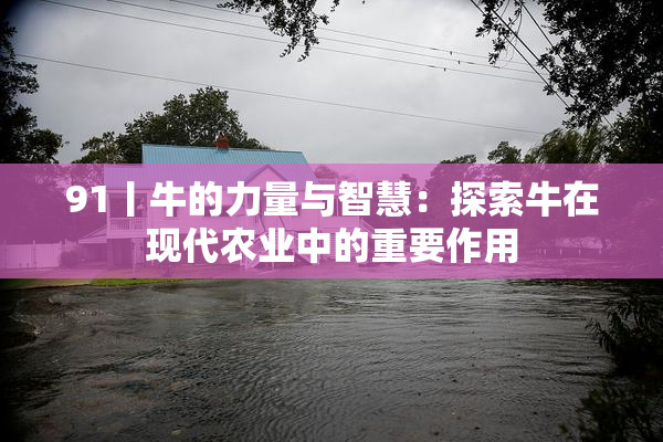 91丨牛的力量与智慧：探索牛在现代农业中的重要作用