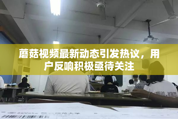 蘑菇视频最新动态引发热议，用户反响积极亟待关注