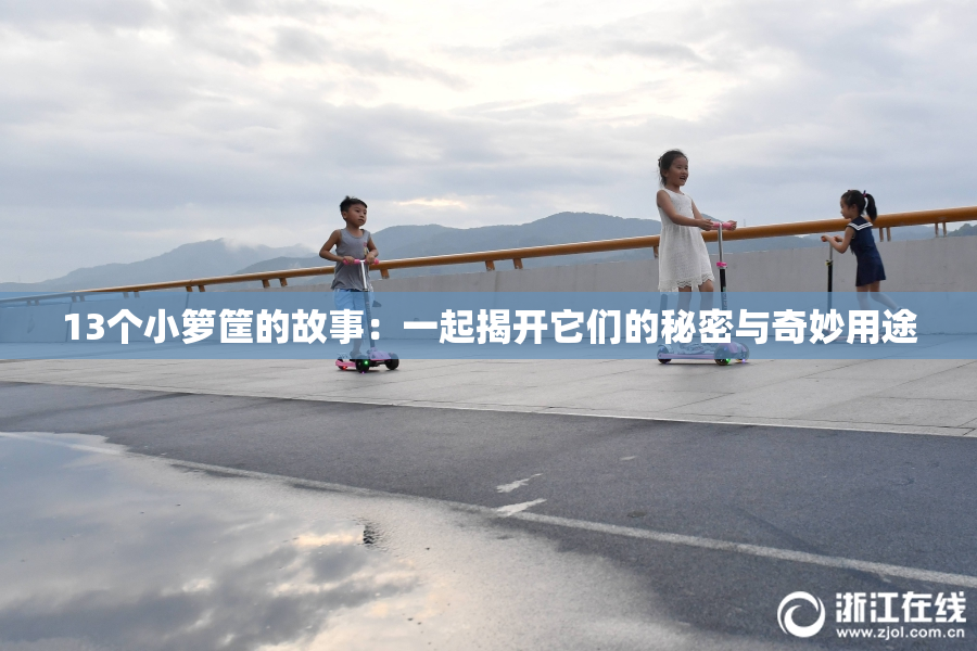 13个小箩筐的故事：一起揭开它们的秘密与奇妙用途