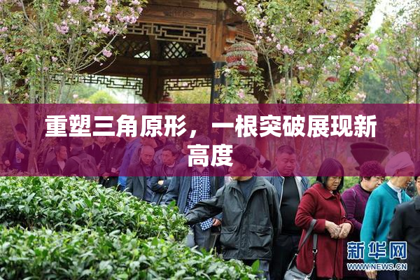 重塑三角原形，一根突破展现新高度