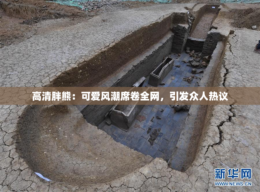 高清胖熊：可爱风潮席卷全网，引发众人热议