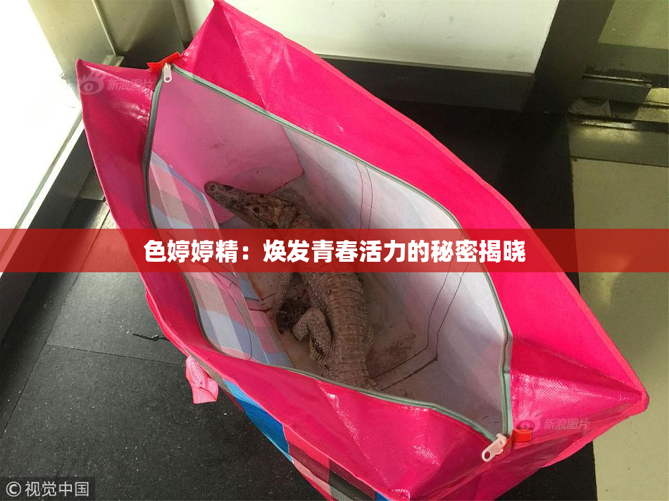 色婷婷精：焕发青春活力的秘密揭晓