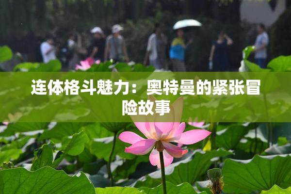 连体格斗魅力：奥特曼的紧张冒险故事