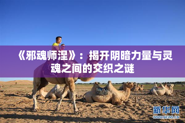 《邪魂师涅》：揭开阴暗力量与灵魂之间的交织之谜