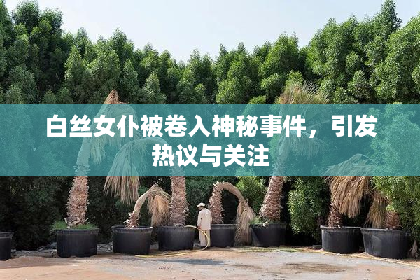 白丝女仆被卷入神秘事件，引发热议与关注