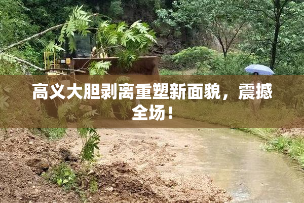 高义大胆剥离重塑新面貌，震撼全场！