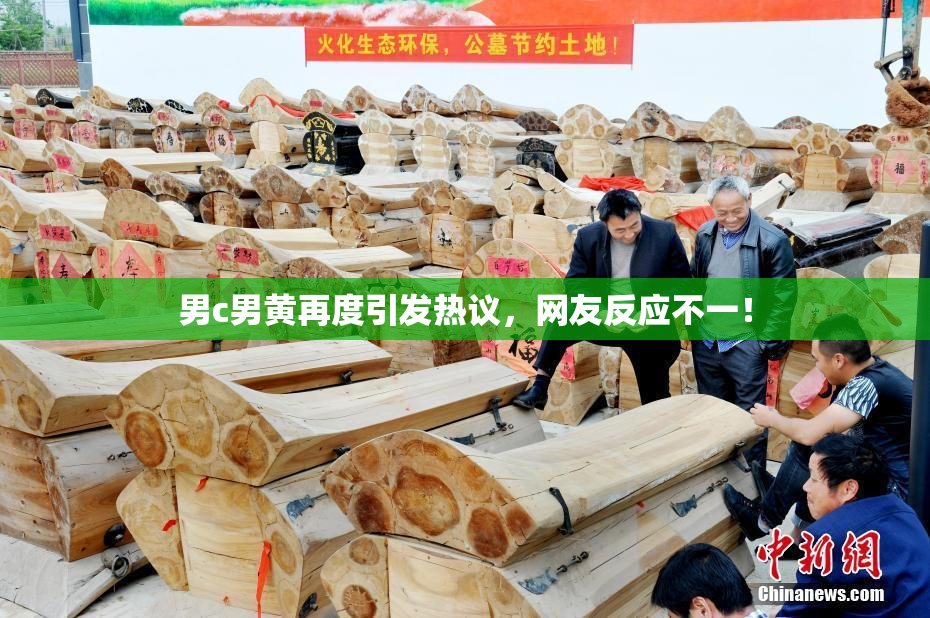 男c男黄再度引发热议，网友反应不一！