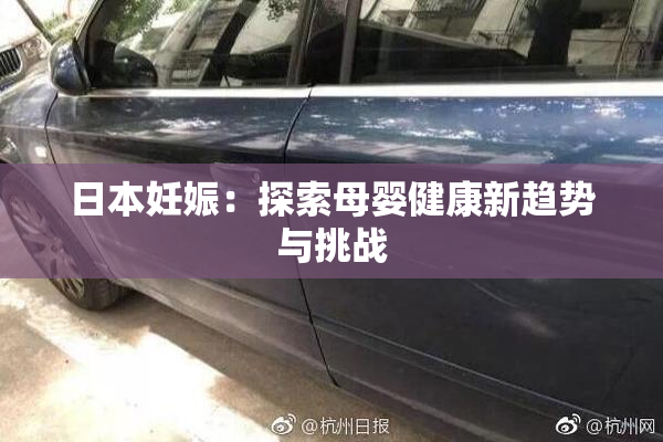 日本妊娠：探索母婴健康新趋势与挑战