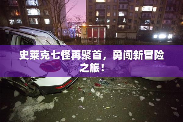 史莱克七怪再聚首，勇闯新冒险之旅！