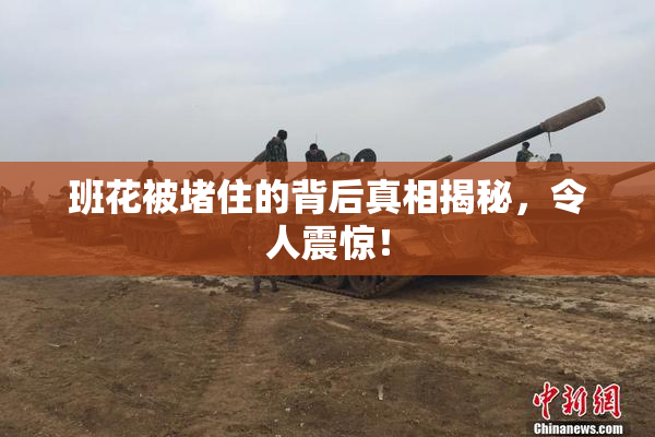 班花被堵住的背后真相揭秘，令人震惊！
