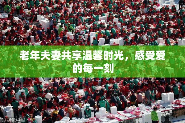 老年夫妻共享温馨时光，感受爱的每一刻